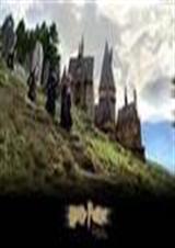 哈利之傲罗世家封面