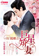 名门隐婚之巨星娇妻(全本) 名门隐婚之巨星娇妻(全本)