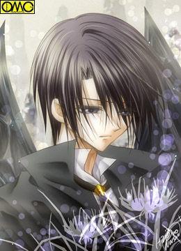 平安京之樱花物语I 平安京之樱花物语I