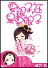 要银子,还是要娘子封面