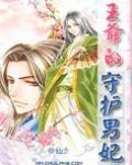 王爷的守护男妃(全本)封面