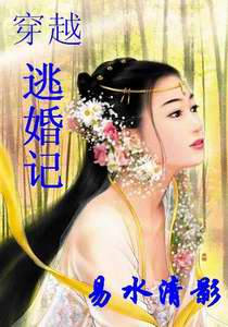 穿越逃婚记封面