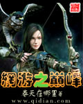 网游之巅峰封面