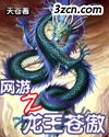 网游之龙王苍傲 网游之龙王苍傲