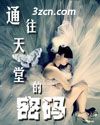 通往天堂的密码 通往天堂的密码