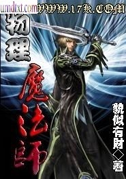 物理魔法师封面