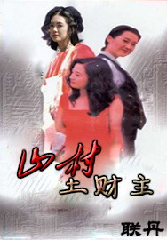 山村土财主封面