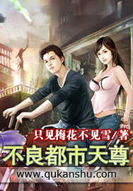 不良都市天尊封面