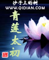 青莲太初封面