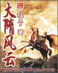 大隋风云 大隋风云