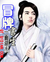 冒牌书生封面