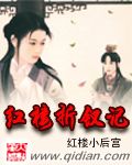 红楼折钗记 红楼折钗记