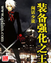 装备强化之王封面