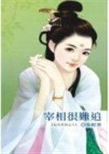 宰相很难追封面