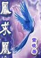 凤求凰 全+番 凤求凰 全+番