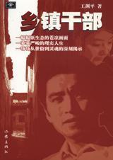 乡镇干部封面