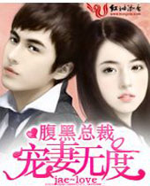 腹黑总裁宠妻无度封面
