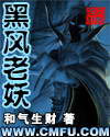 黑风老妖封面