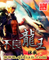 不良龙王封面