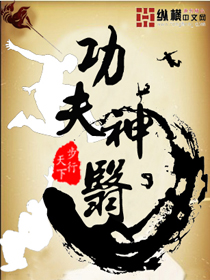 功夫神医 功夫神医