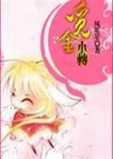 穿越之觅金小传(全)封面