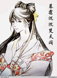 暮霭沉沉楚天阔封面