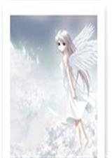 网王之雪色飘零封面