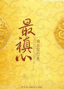 最禛心 完结封面