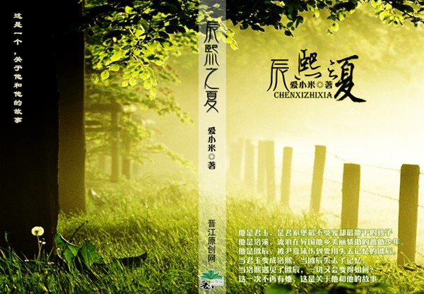 辰熙之夏(泡沫之夏同人)封面