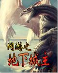 网游之地下城主 网游之地下城主