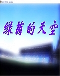 绿茵的天空封面