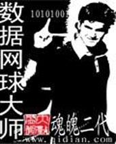 数据网球大师封面
