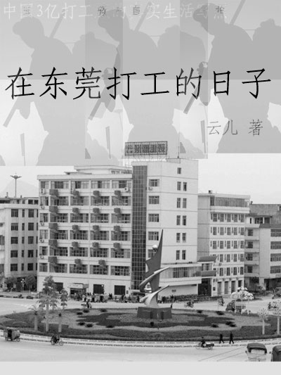 在东莞打工的日子封面