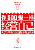 像500强一样经营自己封面