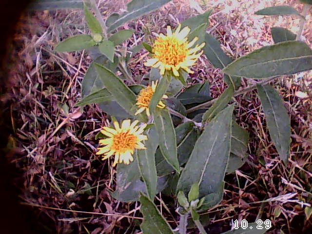 35岁前要上的33堂理财课 35岁前要上的33堂理财课