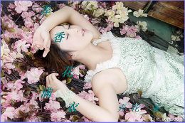 弄香花满衣封面