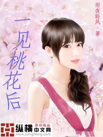 一见桃花后封面