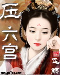 压六宫封面