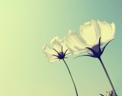 ���޲���֮ϴԩ��¼(���)