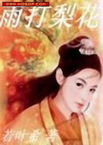 雨打梨花之别逼我恨你封面