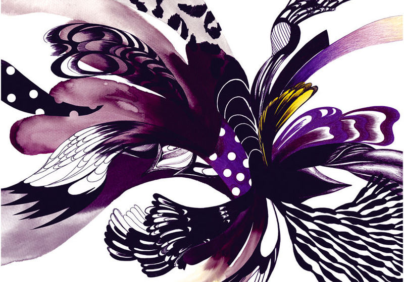 ����������