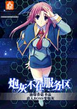 炮灰不在服务区封面