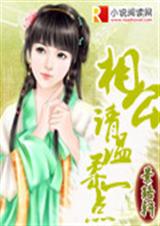 相公请温柔一点封面