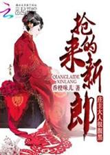 抢来的新郎:庄主大人很腹黑封面