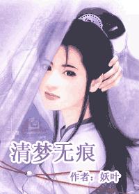 清梦无痕封面