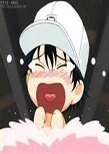 网王之重生的羽翼封面