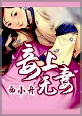 妾上无妻封面