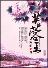 芙蓉王封面