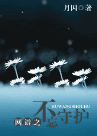 网游之不忘守护封面