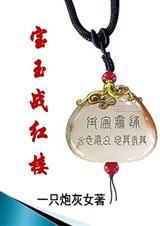 (红楼同人)宝玉战红楼封面